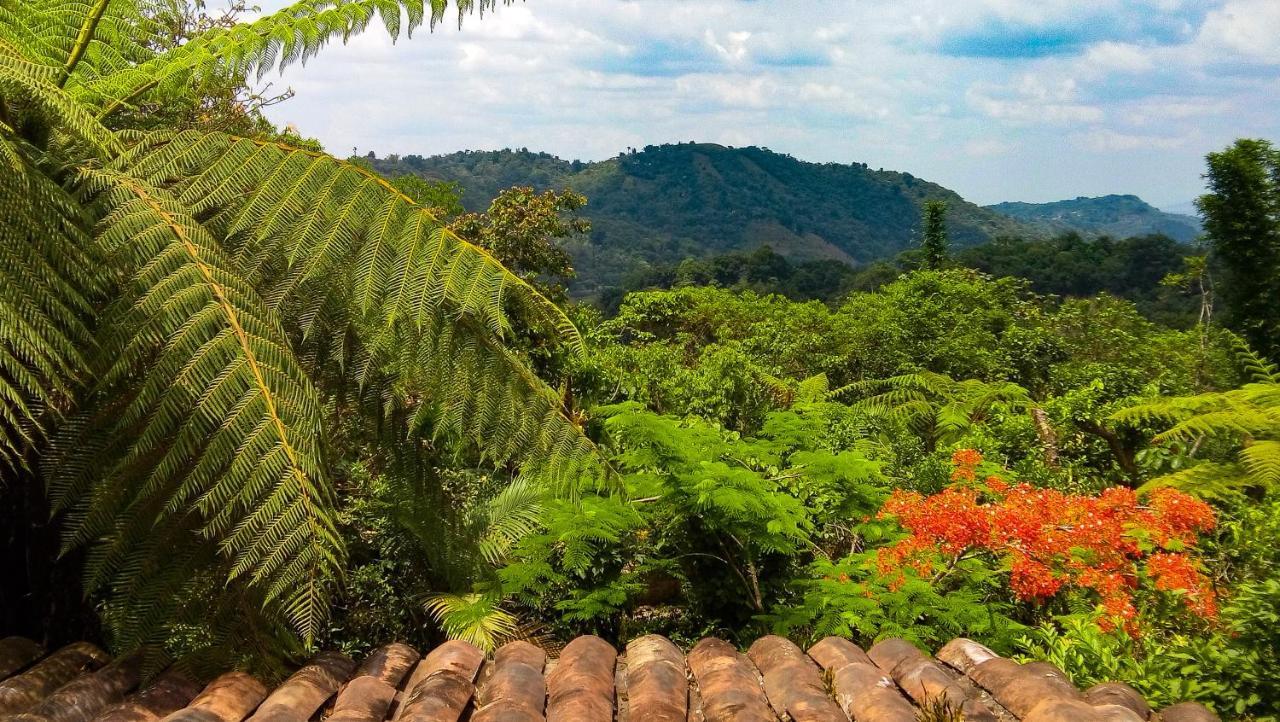 Hospedaje Totalmanik Cuetzalán del Progreso Exteriér fotografie